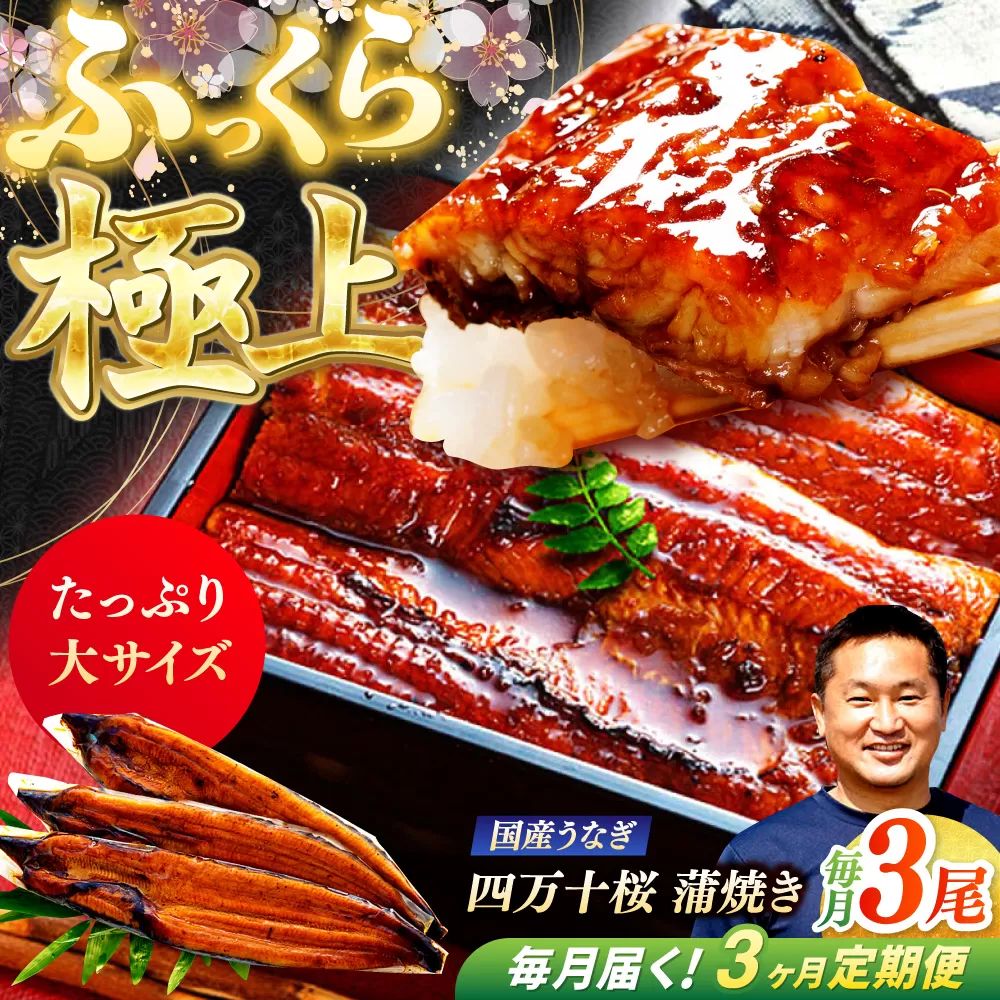 【3回定期便】 極上国産うなぎ四万十桜 蒲焼き3尾 たっぷり大サイズ / 国産 高知 四万十 うなぎ ウナギ 鰻 蒲焼き うな重 惣菜 贅沢 【有限会社もりた】 [ATHE006]