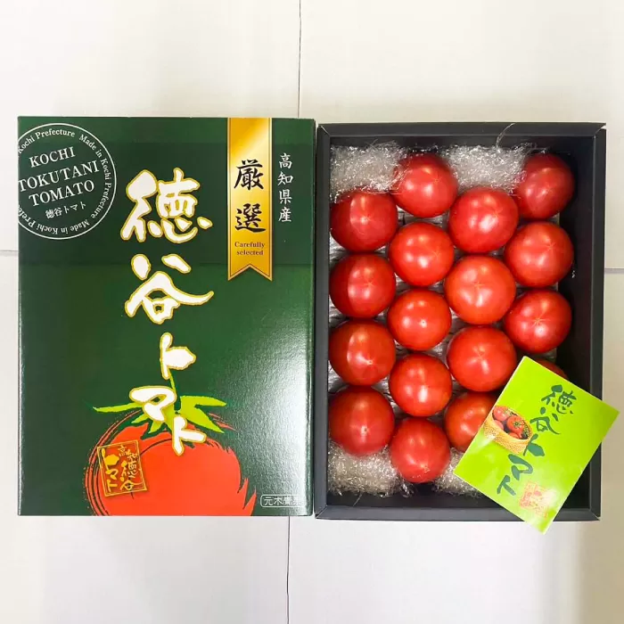 濃厚!徳谷トマト約1.0kg 箱詰 生産者指定なし 厳選上級品 ＜2025年1月下旬以降発送＞ 【グレイジア株式会社】 [ATAC322]