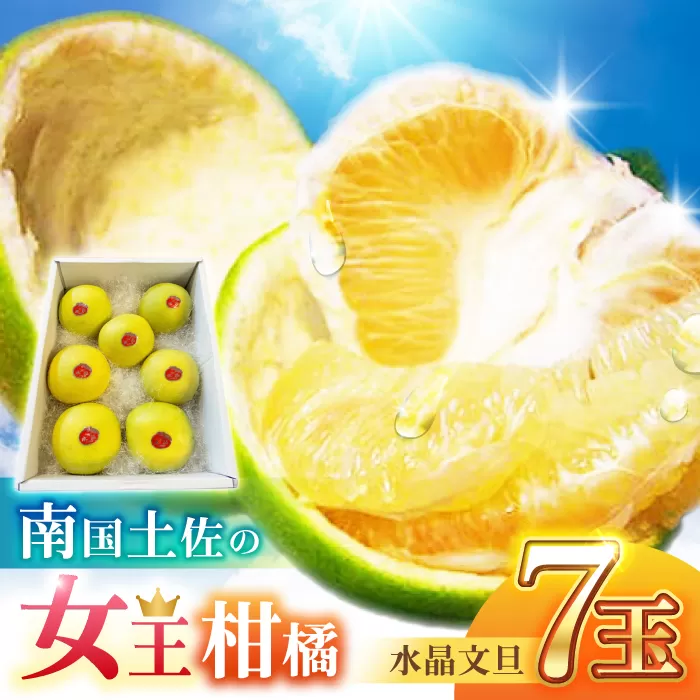 南国土佐の女王柑橘 水晶文旦 約3kg 7玉入り 文旦 ぶんたん フルーツ 果物 3キロ 高知県 【フルーツショップオザキ】 [ATAH006]