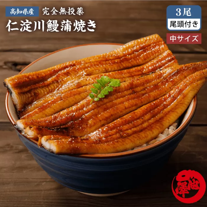 完全無投薬 仁淀川の伏流水で育てた贅沢うなぎ蒲焼き 中 (約150g×3尾 ) ギフトセット 池澤鮮魚 【池澤鮮魚オンラインショップ】 [ATBE018]