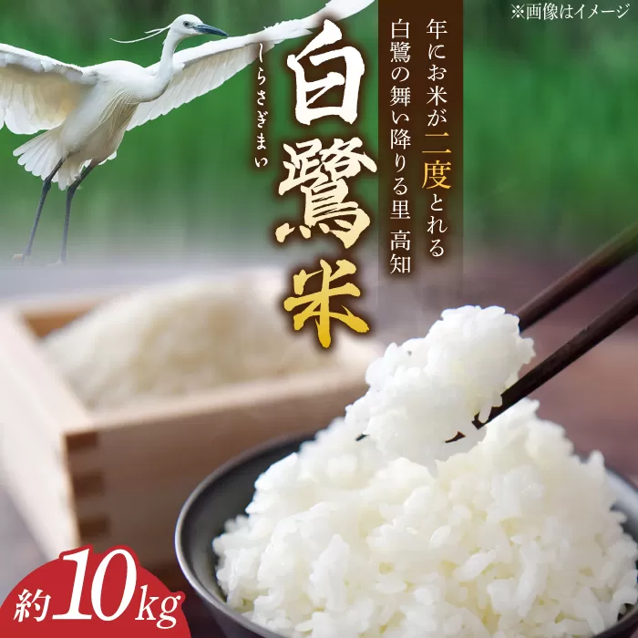 【令和6年度産】 農薬節減！ 白鷺米 コシヒカリ 約10kg / 高知 米 お米 精米　【津ノ宮農園】 [ATBV002]