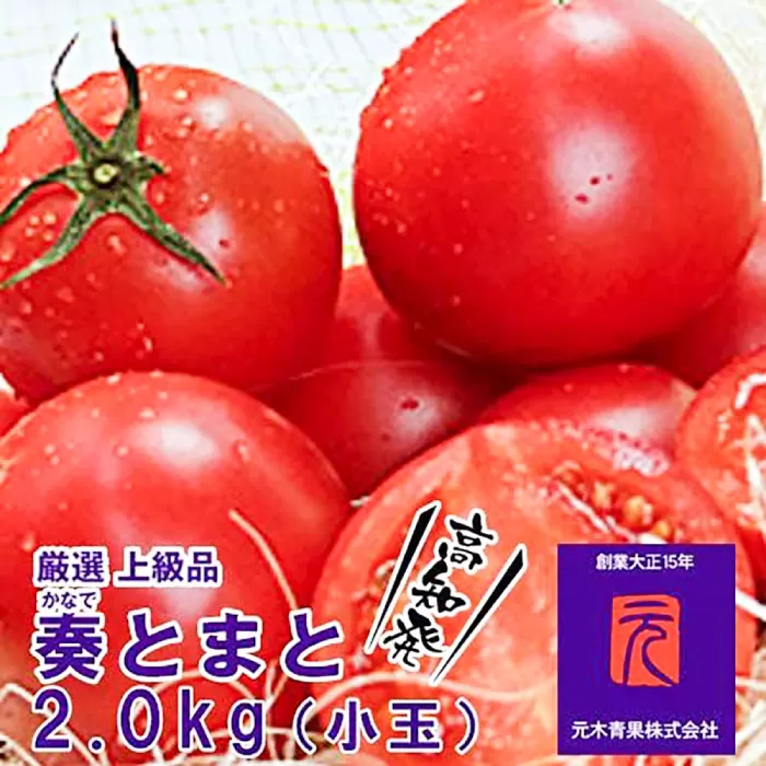 フルーツトマト「奏（かなで）とまと」（小玉）約２kg化粧箱入 土佐郷 【グレイジア株式会社】 [ATAC321]