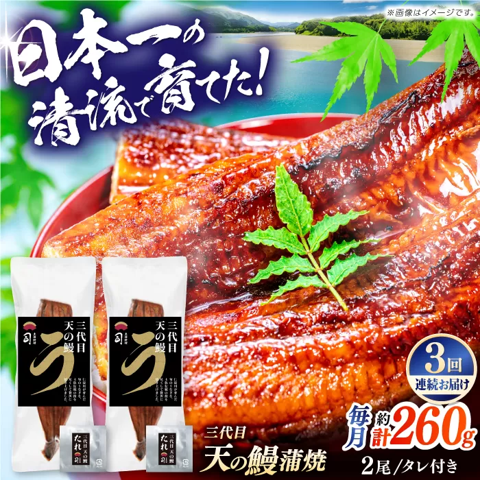 【3回定期便】土佐料理司 三代目天の鰻蒲焼2尾セット 高知市 春野町産 【株式会社土佐料理司】 [ATAD059]
