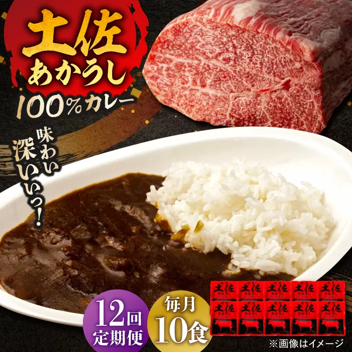 【12回定期便】高知土佐あかうしビーフカレー 10食セット/ レトルト カレー あか牛 土佐あかうし 牛肉 牛カレー 保存食 常備 人気 おすすめ 高知市 【株式会社 四国健商】 [ATAF139]