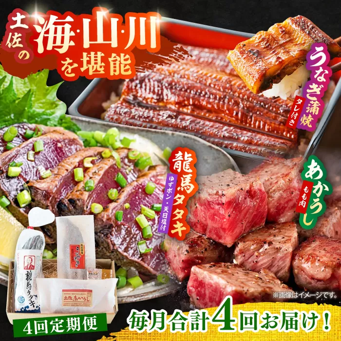【4回定期便】「土佐の海 川 山」 鰹たたき うなぎ蒲焼き あかうしセット かつお 鰹 藁焼き カツオ 鰻 うなぎ 赤牛 あか牛 牛肉 【株式会社Dorago】 [ATAM039]
