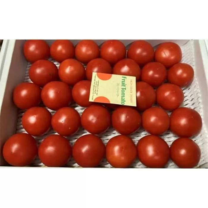 高知県高知市産 果物トマト フルーツルビー 約2kg