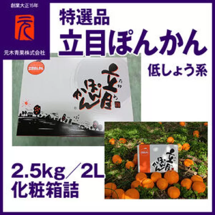 特選品立目ぽんかん（低しょう系） | 約2.5kg 2L 化粧箱詰 【グレイジア株式会社】 [ATAC333]