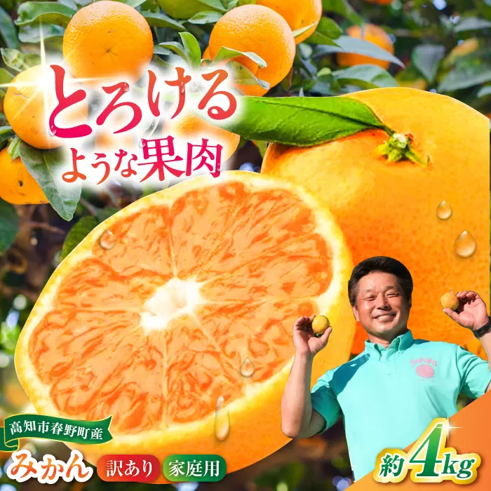 高知市春野町 西込さんの美味しいみかん 約4kg ご家庭用 ワケあり 【株式会社 四国健商】 [ATAF011]