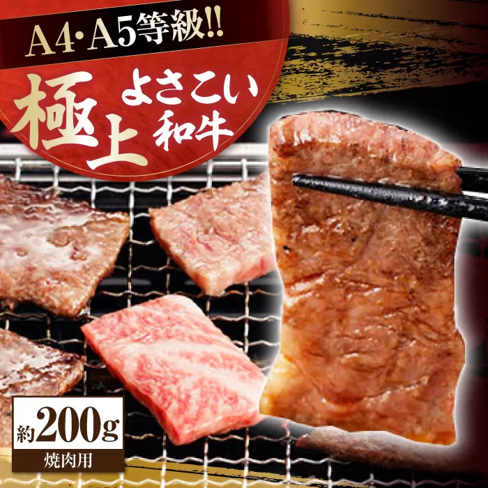 高知県産 よさこい和牛 焼肉用 約200g 牛肉 国産 焼き肉 BBQ A4 A5 【(有)山重食肉】 [ATAP060]