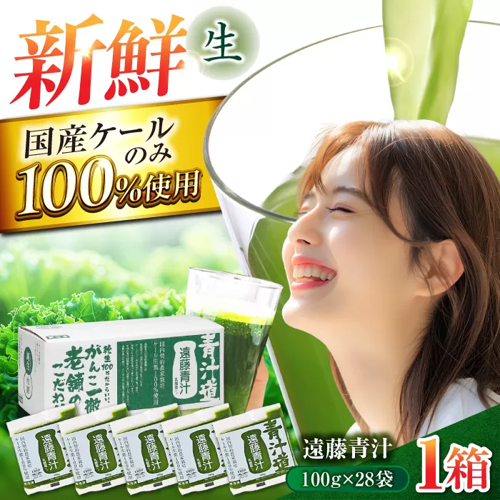 遠藤青汁 【生】 冷凍 1箱 (100g×28袋) / 健康 美容 乳酸菌 ケール ビタミン ミネラル 食物繊維 腸活 ダイエット 冷凍 青汁 遠藤青汁 新鮮 高知市 【グレイジア株式会社】 [ATAC001]