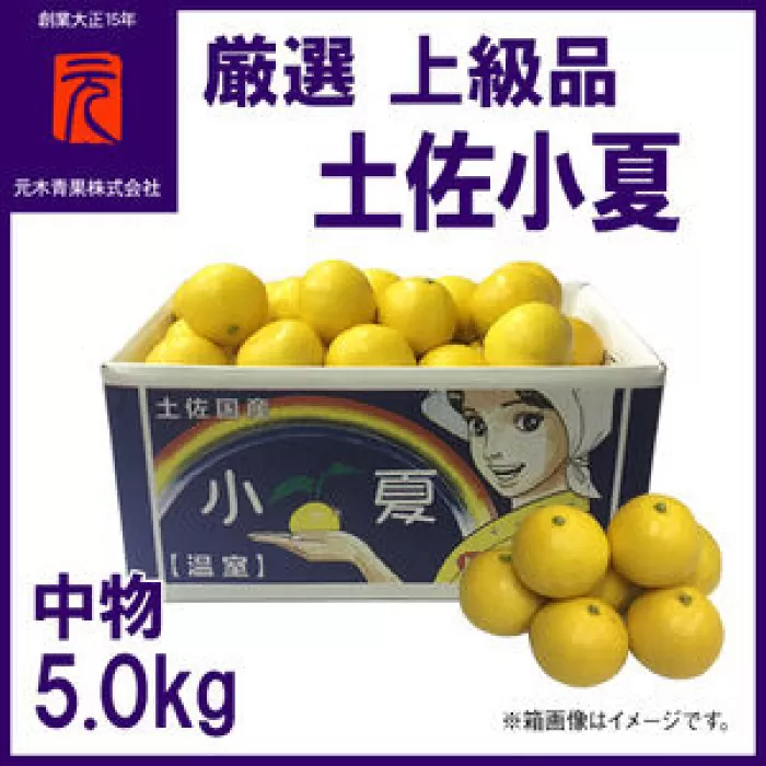 厳選上級品中物土佐小夏約5.0kgＳ〜Ｍサイズ/【グレイジア株式会社】 [ATAC338]