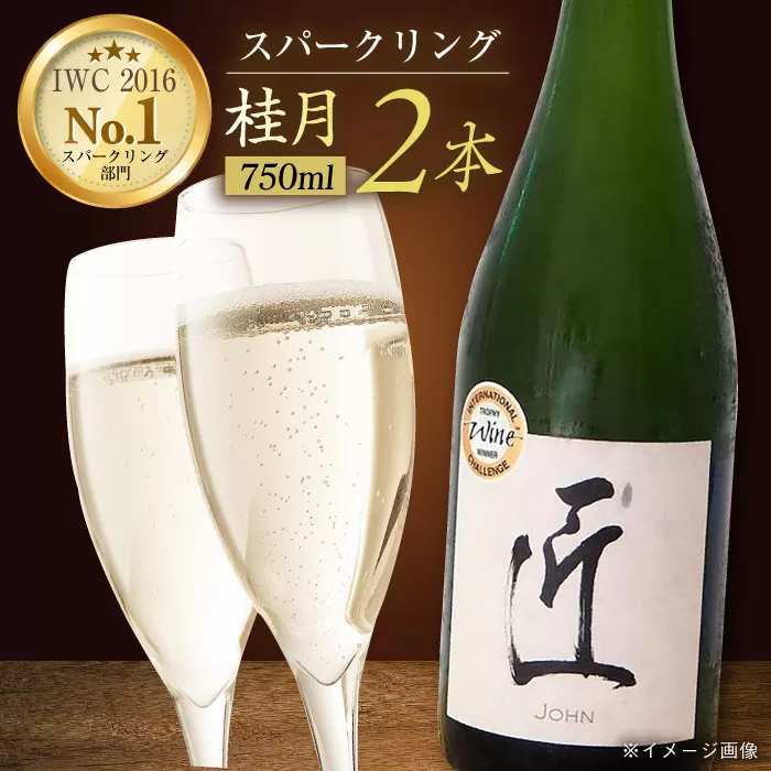 土佐酒造 桂月 スパークリング酒 匠 (ジョン) 750ml 2本 日本酒 地酒 【近藤酒店】 [ATAB074]