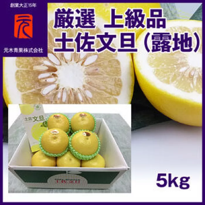 厳選上級品 土佐文旦（露地）／約5kg／箱【グレイジア株式会社】 [ATAC328]