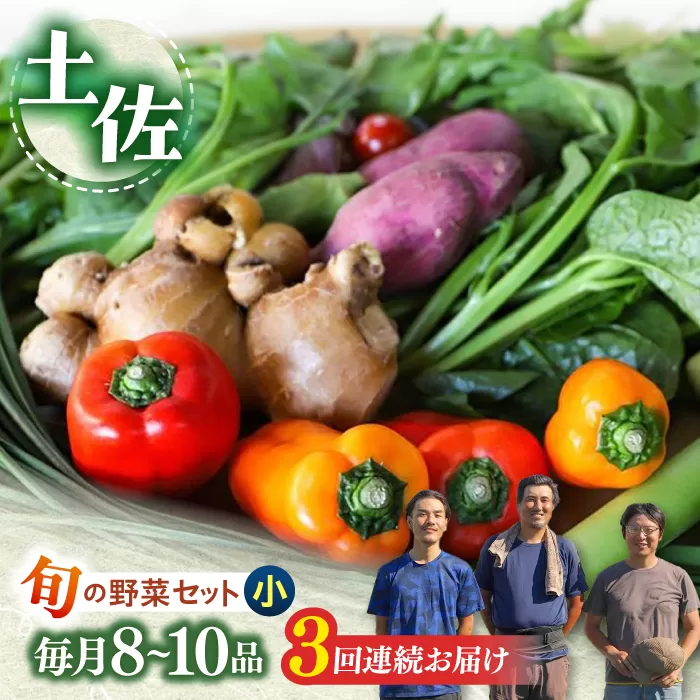 【3回定期便】 土佐の太陽をいっぱいに浴びた旬の野菜セット小 【土佐野菜】 [ATBA005]