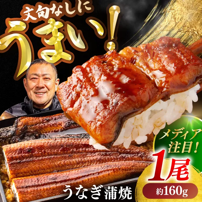 高知県産 うなぎ 長蒲焼1尾 約160g×1 (1〜2人前)/ 鰻 ウナギ 土用丑の日 高知産 うなぎ 【土佐黒潮水産】 [ATCQ011]
