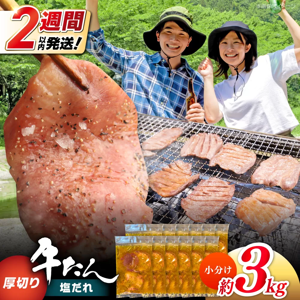 厚切り 牛タン 塩だれ 約250g×12パック 計約3kg 小分け 個包装 味付け タレ たれ 高知県 お肉 牛肉 贅沢 焼き肉 BBQ バーベキュー 訳あり わけあり ワケアリ 牛たん 【焼肉寛十郎】 [ATDO024]