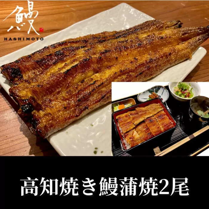 高知焼き鰻蒲焼2尾【鰻HASHIMOTO】 [ATDX005]