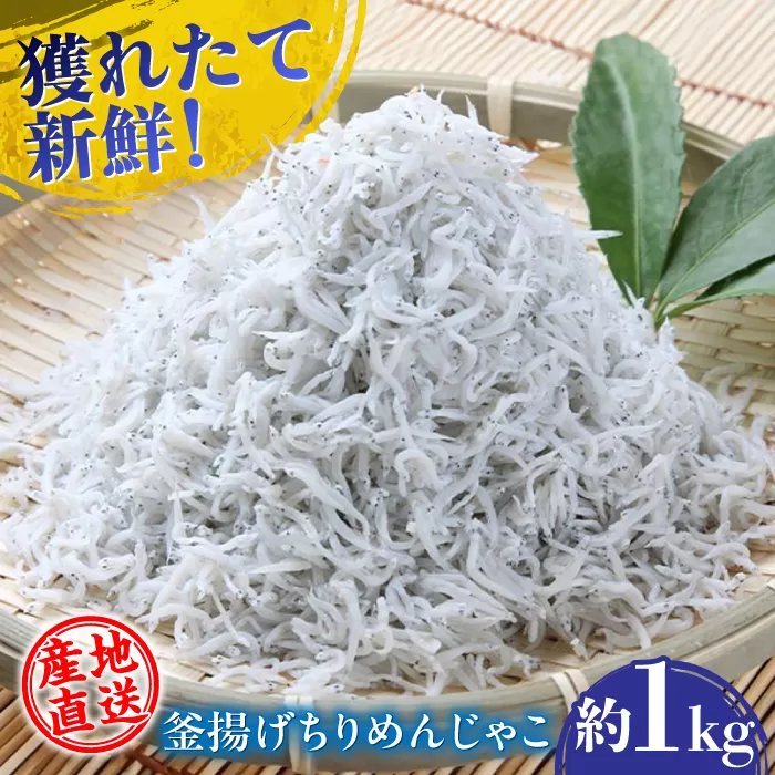 【産地直送】新鮮釜揚げちりめんじゃこ 約1kg 【土居海産】 [ATBT001]