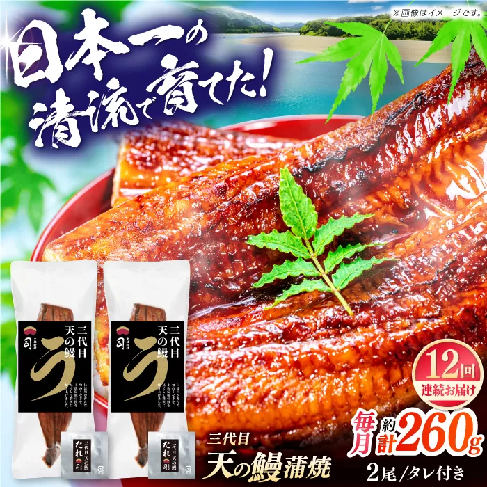【12回定期便】土佐料理司 三代目天の鰻蒲焼2尾セット 高知市 春野町産 【株式会社土佐料理司】 [ATAD062]
