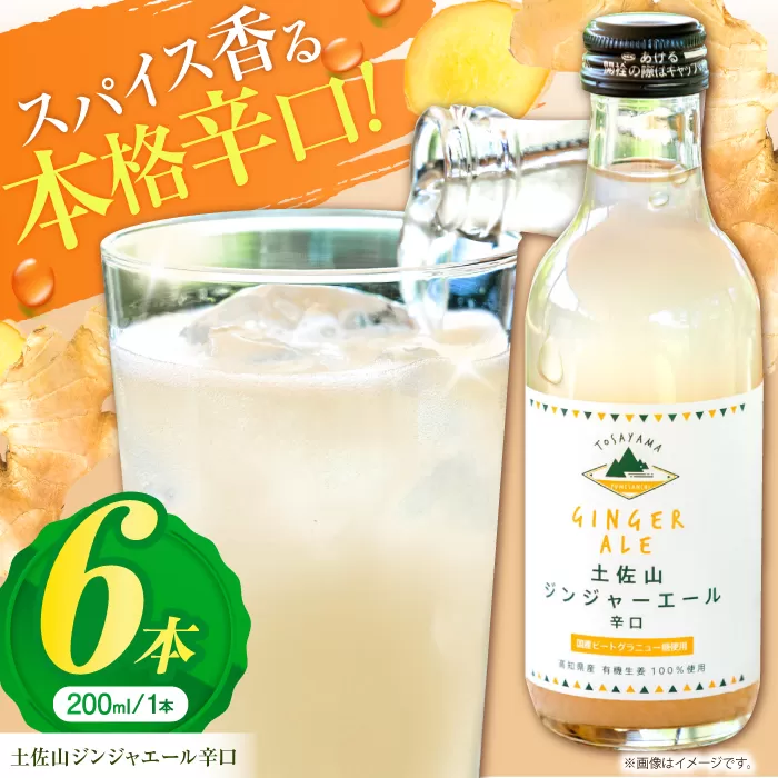 土佐山ジンジャエール辛口M(200ml) 6本入り 【一般財団法人夢産地とさやま開発公社】 [ATBH006]