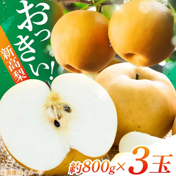 【先行予約】 まるはり新高梨（約800g×3玉入） 〈2025年9月下旬から発送開始〉 / 新高梨 梨 果物 フルーツ デザート 　【高知市農業協同組合】 [ATBK002]