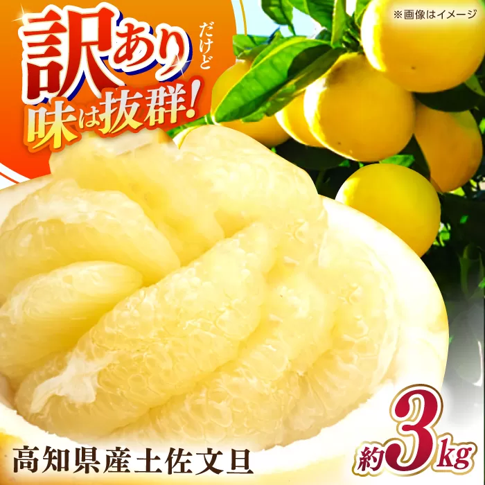 [先行予約]高知県産 訳あり 土佐文旦 約3kg [2026年2月〜発送] / 傷 シミの訳アリ 大容量 ぶんたん 文旦 訳あり わけあり 果物 [株式会社 四国健商] [ATAF151]