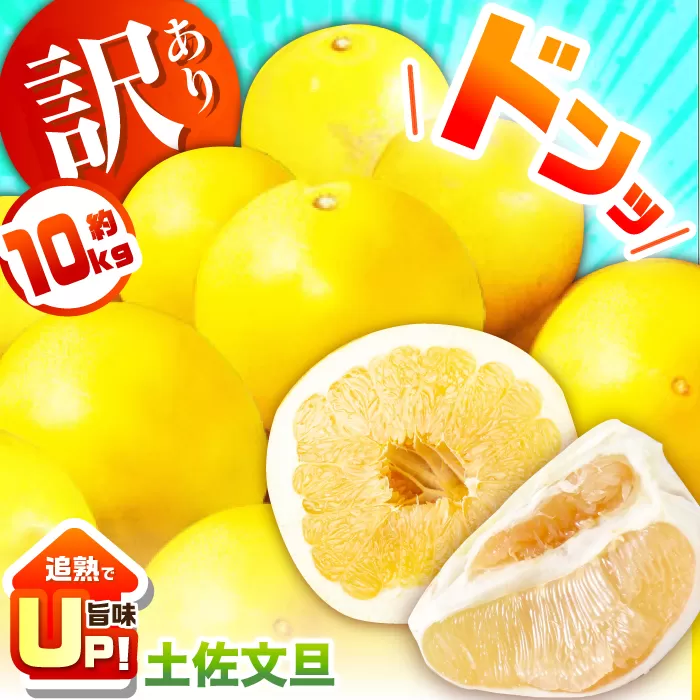 訳あり 土佐文旦 約10kg 追熟旨味UP 家庭用サイズ S〜2L ブンタンぶんたん 【グレイジア株式会社】 [ATAC474]