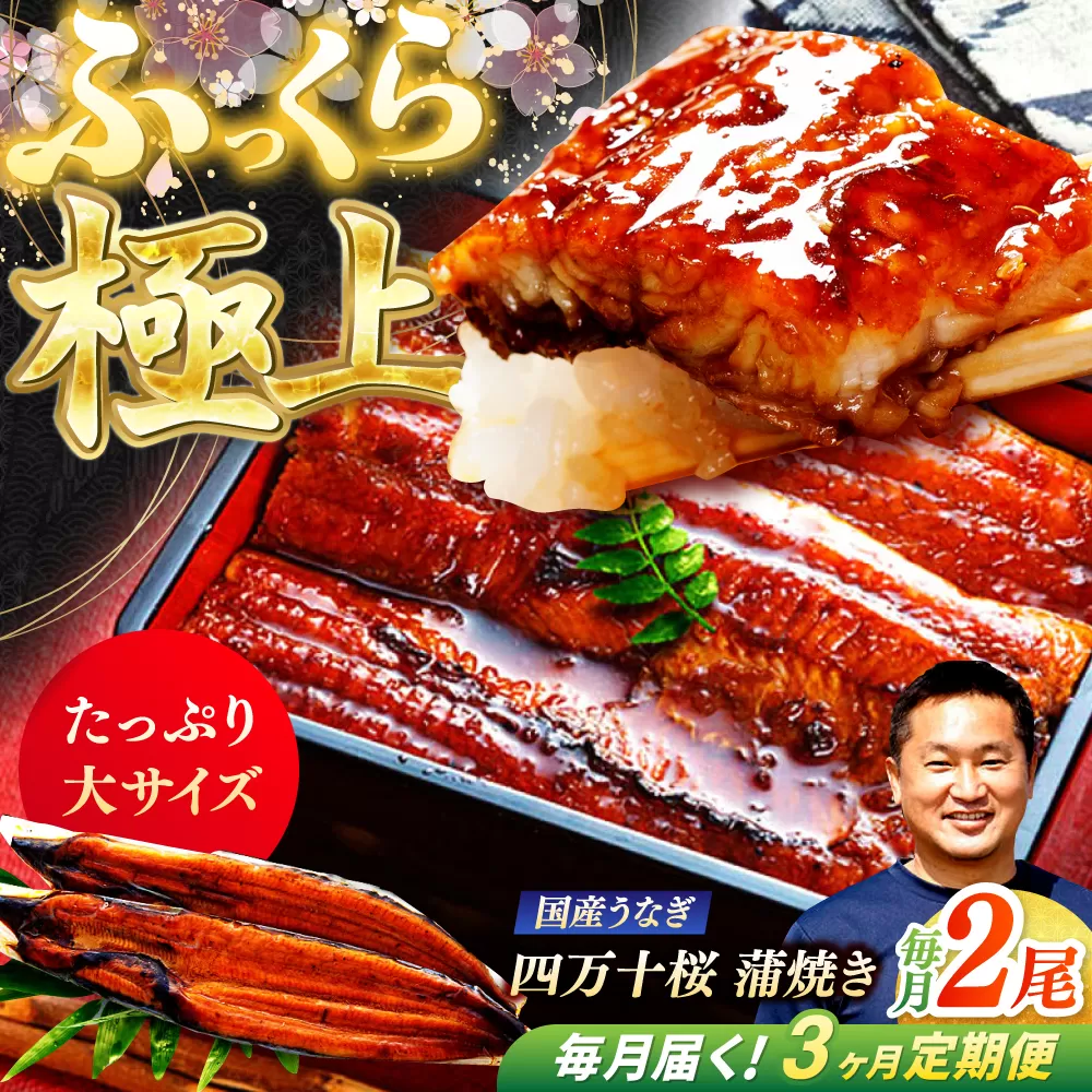【3回定期便】極上国産うなぎ四万十桜 蒲焼き2尾 たっぷり大サイズ / 国産 高知 四万十 うなぎ ウナギ 鰻 蒲焼き うな重 惣菜 贅沢 【有限会社もりた】 [ATHE005]