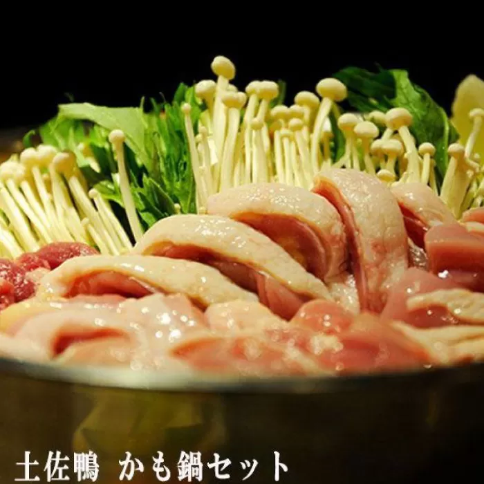 土佐鴨 かも鍋セット 土佐鴨 土佐ジロー飼育研究会 【グレイジア株式会社】 [ATAC585]