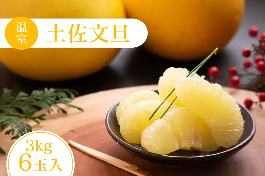 高知特産　温室（ハウス）土佐文旦　約3kg・6玉入〈2024年11月下旬から発送〉【株式会社四国健商】 [ATAF036]