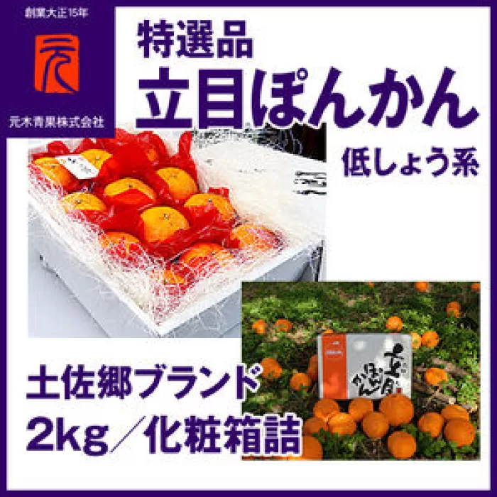 特選品土佐郷ブランド立目ぽんかん（低しょう系約12玉）約2kg【グレイジア株式会社】 [ATAC334]