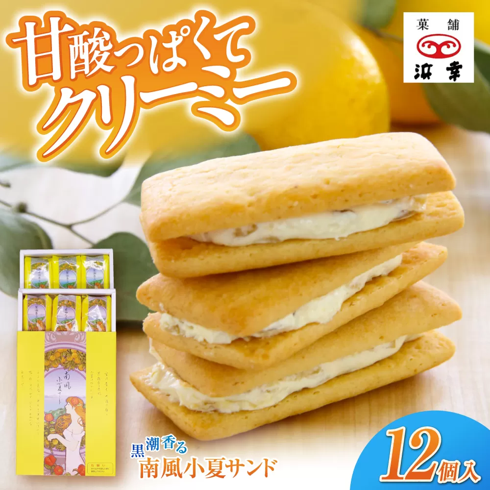 南風小夏サンド 12個入 / 高知 お菓子 おやつ 小夏 サブレ 手土産 贈答 【株式会社 浜幸】 [ATDY002]
