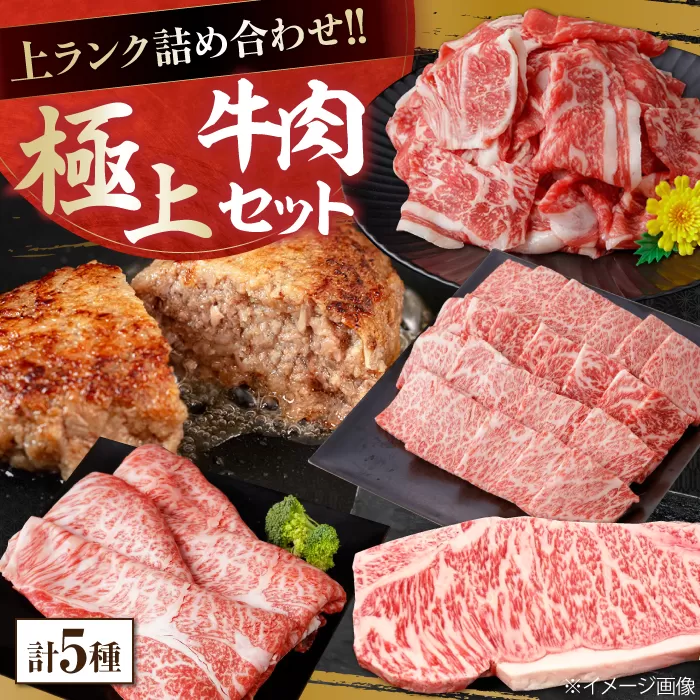 上ランク 牛肉詰め合わせ 総計約4.59kg 牛肉 国産 焼肉 焼き肉 すき焼き 切り落とし サーロインステーキ ハンバーグ 【(有)山重食肉】 [ATAP010]