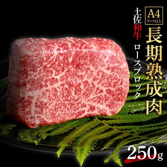 エイジング工法 熟成肉 土佐和牛 特選ロース ブロック 約250g (冷凍) 【株式会社LATERAL】