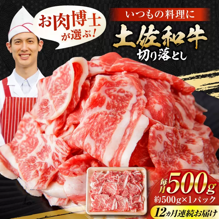 【12回定期便】高知県産 土佐和牛 切り落とし 炒め物 すき焼き用 約500g 総計約6kg 牛肉 切落しすきやき 国産 【(有)山重食肉】 [ATAP102]