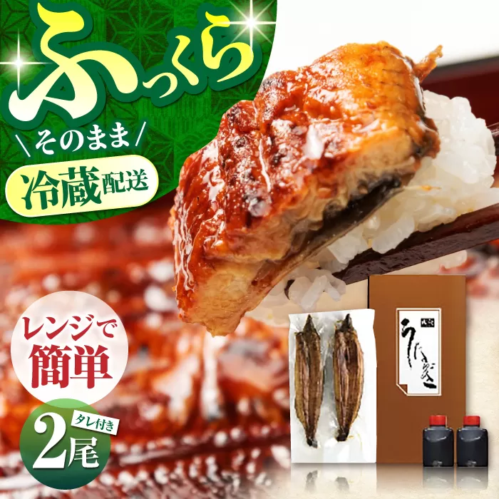 高知県産 朝焼きうなぎ蒲焼 2尾セット 【株式会社 四国健商】 [ATAF001]
