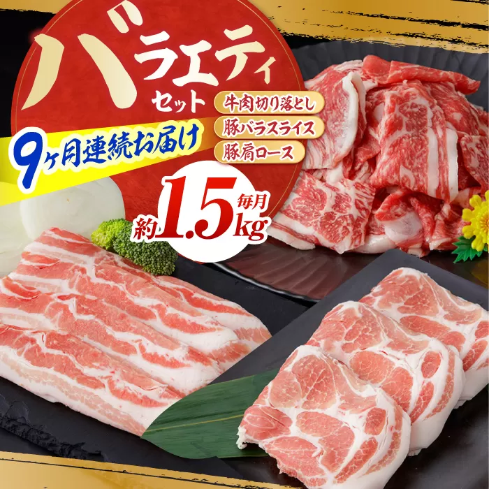 【9回定期便】お肉の定期便 バラエティセット (9ヵ月) 総計約13.5kg 国産 牛肉 切り落とし 豚肉 バラ スライス 【(有)山重食肉】 [ATAP117]