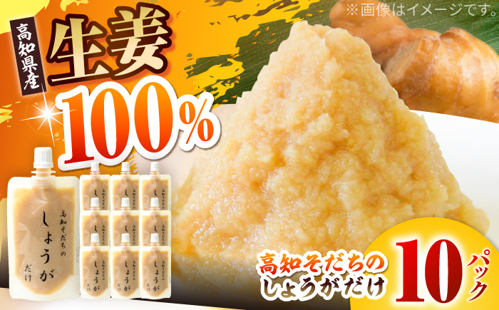 高知そだちのしょうがだけ 約50g×10パック 【Japan Ginger 株式