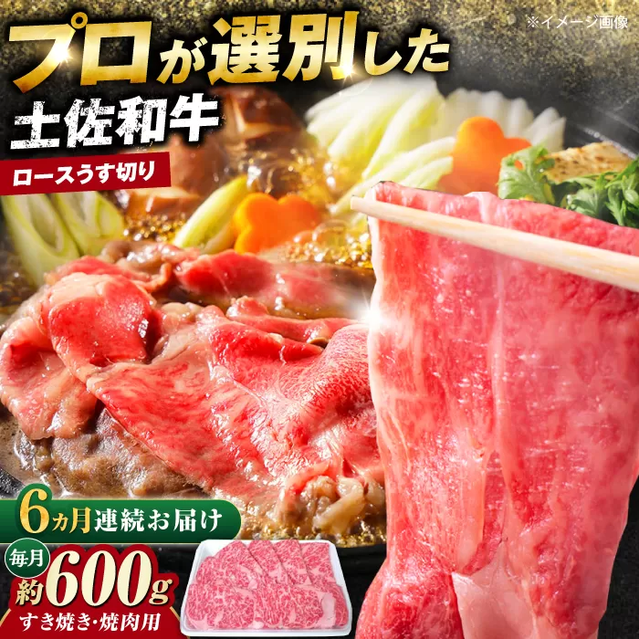 【6回定期便】土佐黒毛和牛 ロースうす切り (すき焼き 焼肉用) 約600g 総計約3.6kg 【株式会社 四国健商】 [ATAF132]