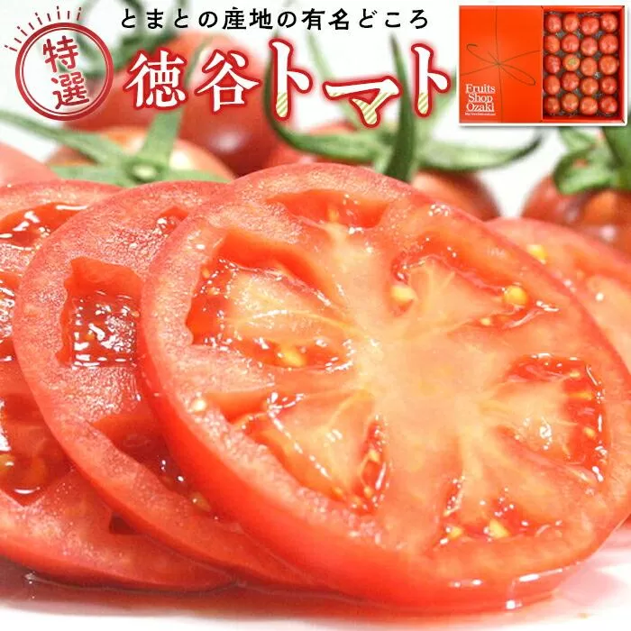 特選徳谷トマト約2kg　生産者52番　フルーツトマト