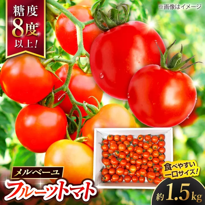 高知県産 フルーツトマト メルベーユ 約1.5kg / 高糖度 トマト とまと フルーツトマト 野菜 【株式会社　四国健商】 [ATAF071]