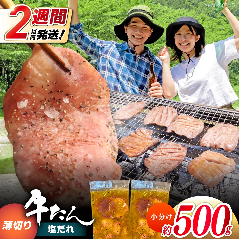 薄切り 牛タン 塩だれ  約250g×2パック 計約500g 小分け 個包装 味付け タレ たれ 高知県 お肉 牛肉 贅沢 焼き肉 BBQ バーベキュー 訳あり わけあり ワケアリ 牛たん 【焼肉寛十郎】 [ATDO032]