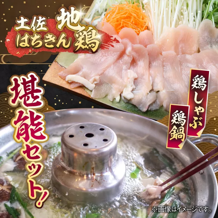 土佐はちきん地鶏 鶏しゃぶ 鶏鍋堪能セット 【株式会社Dorago】 [ATAM002]