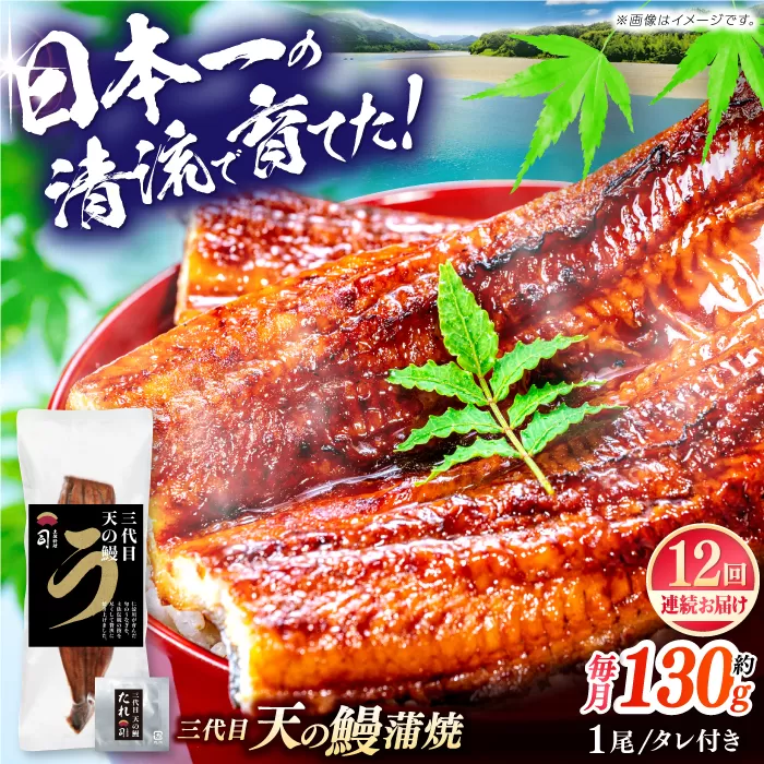 【12回定期便】土佐料理司 三代目天の鰻蒲焼1尾セット (高知市春野町産) 【株式会社土佐料理司】 [ATAD058]