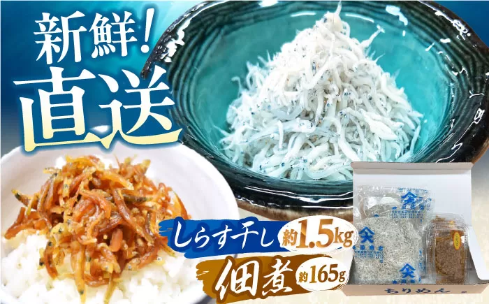 しらす干し（約1.5kg）と佃煮（約165g）セット　/森国商店　浜で瞬時に釜出し　高知のしらす【グレイジア株式会社】 [ATAC487]