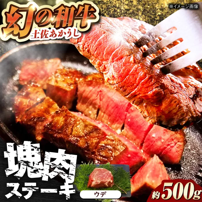 土佐あかうし 塊肉ステーキ 約500g(うで)[株式会社Dorago] [ATAM047]