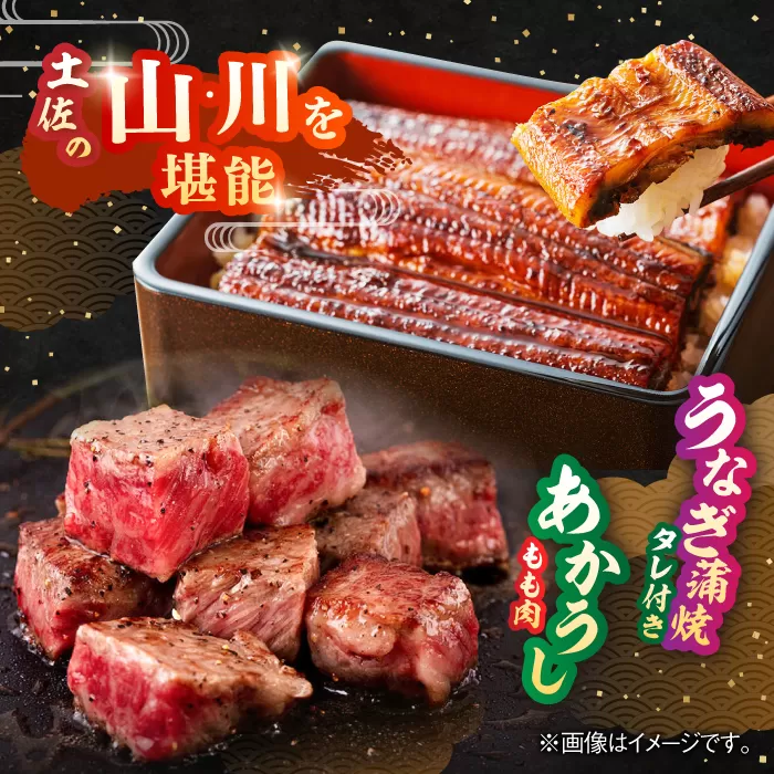 「土佐の山 川」 高知県産うなぎ蒲焼と土佐あかうしももセット 【株式会社Dorago】 [ATAM010]