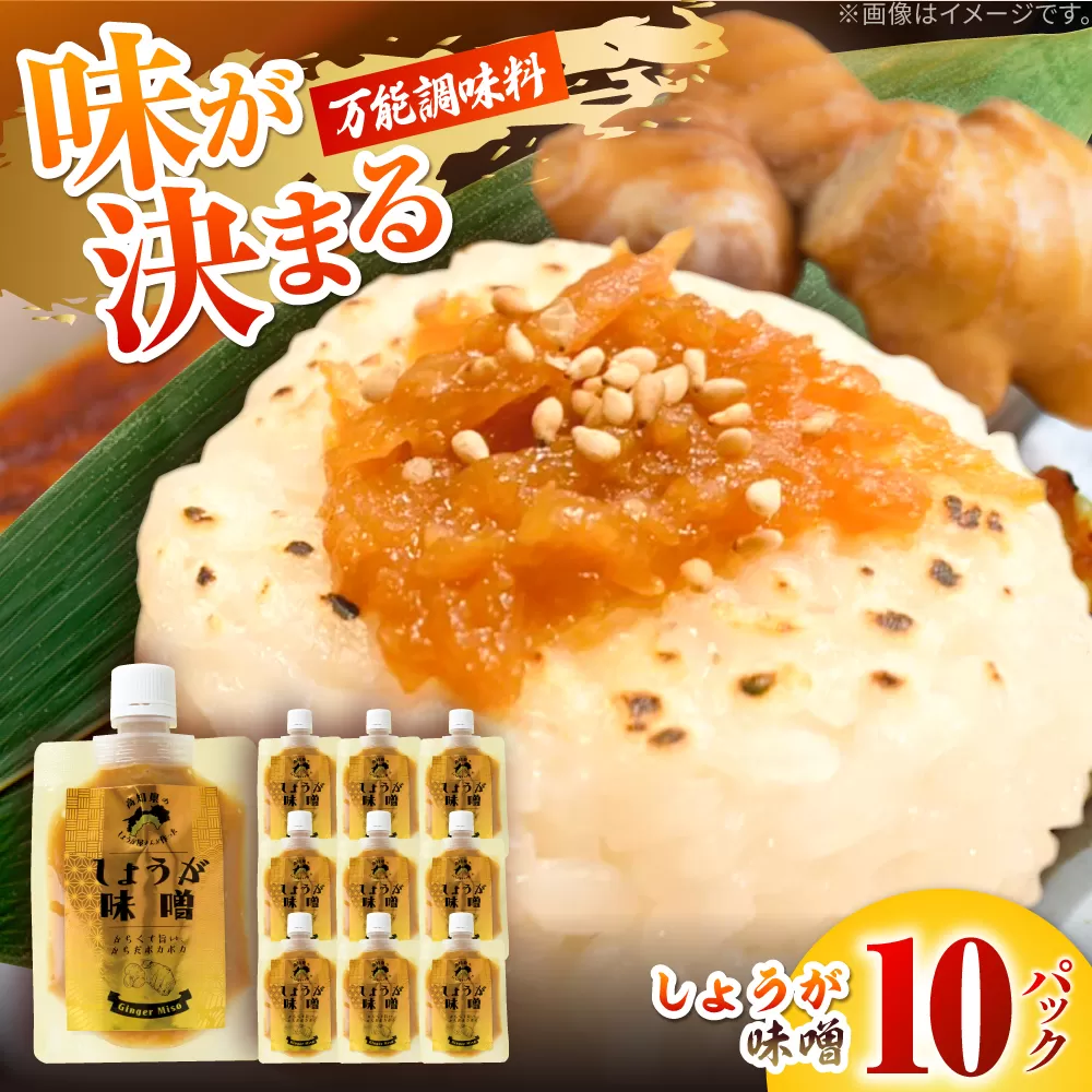 しょうが味噌　約100g×10パック【Japan Ginger 株式会社】 しょうが 国産 高知 調味料 味噌汁 みそ汁 小分け パウチ [ATFD003]