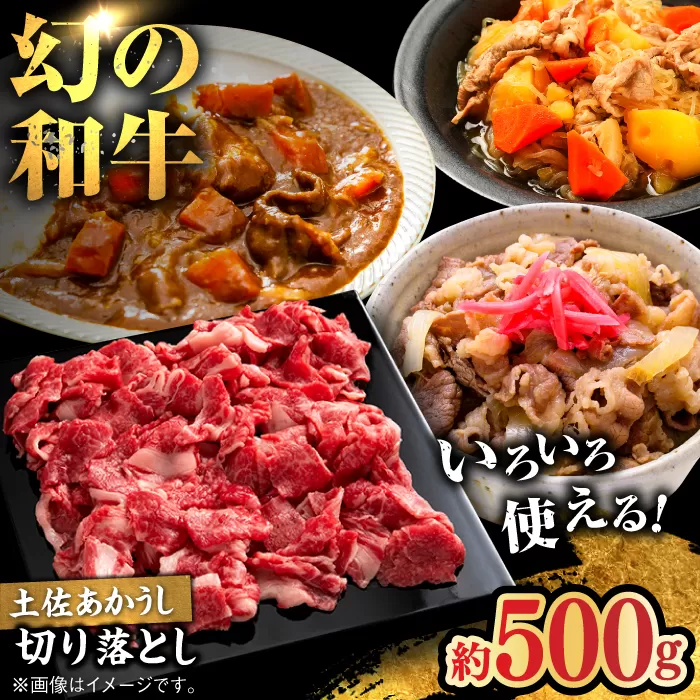 土佐あかうし　切り落し　約500g【高知県食肉センター株式会社】 [ATFC019]