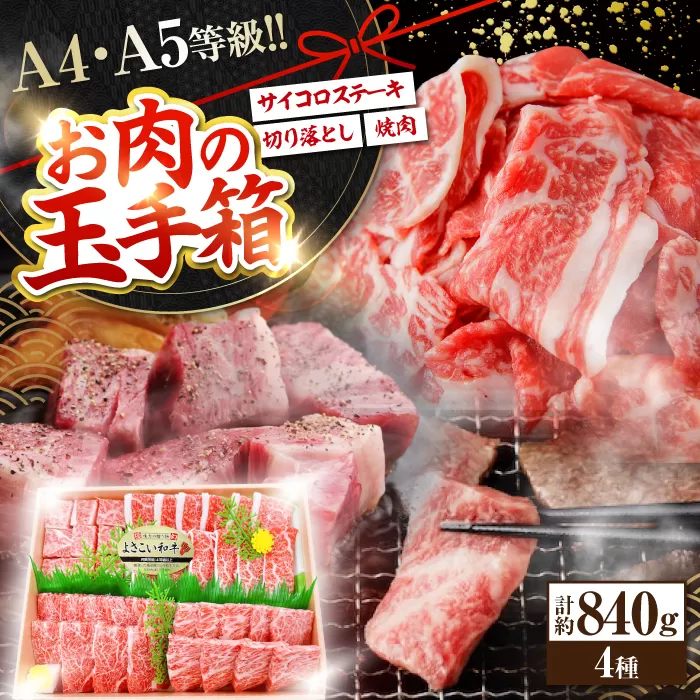 高知から美味しいお肉の玉手箱! 化粧箱入り 総計約840g 牛肉 ステーキ 焼肉 切り落とし 国産 A4 A5 【(有)山重食肉】 [ATAP020]